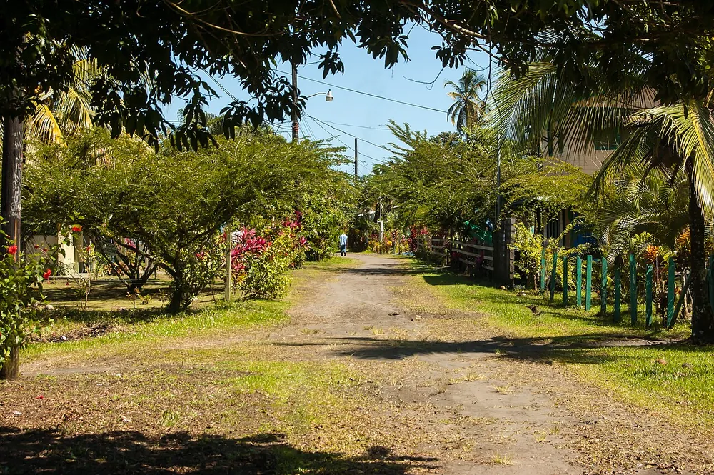 Parismina (Barra del Parismina), landmark in Caribbean Coast (photo 2 of 4)