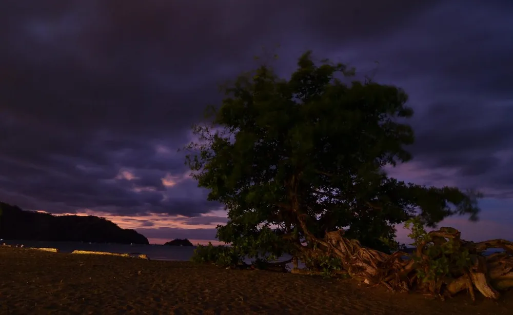 Parque Amor de Temporada & beach boardwalk (Playas del Coco), park in Guanacaste (photo 2 of 3)
