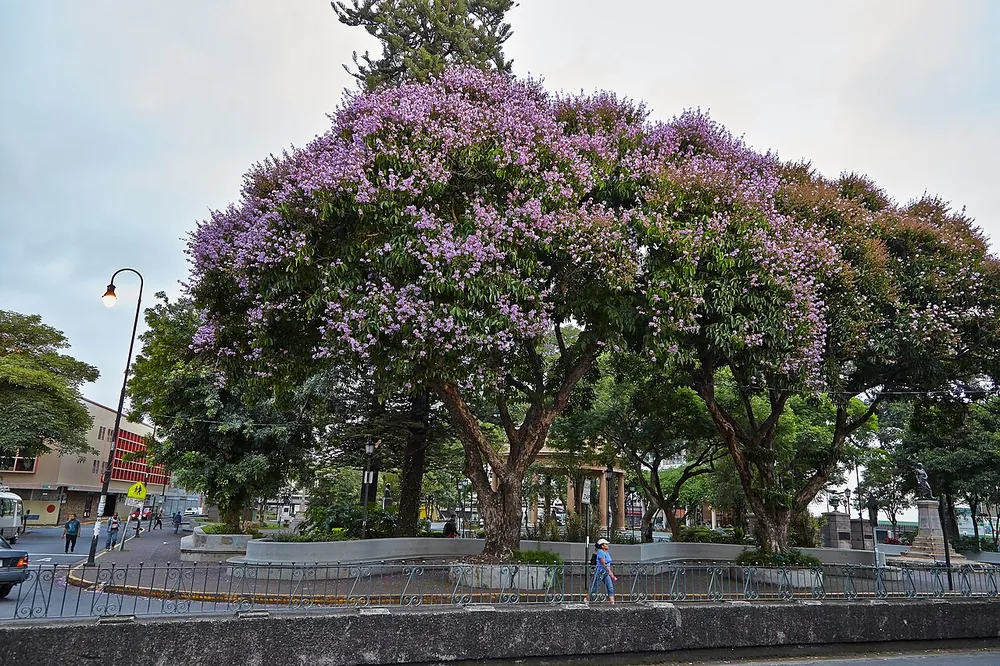 Parque Morazán and Templo de la Música, park in San José & Central Valley (photo 4 of 5)