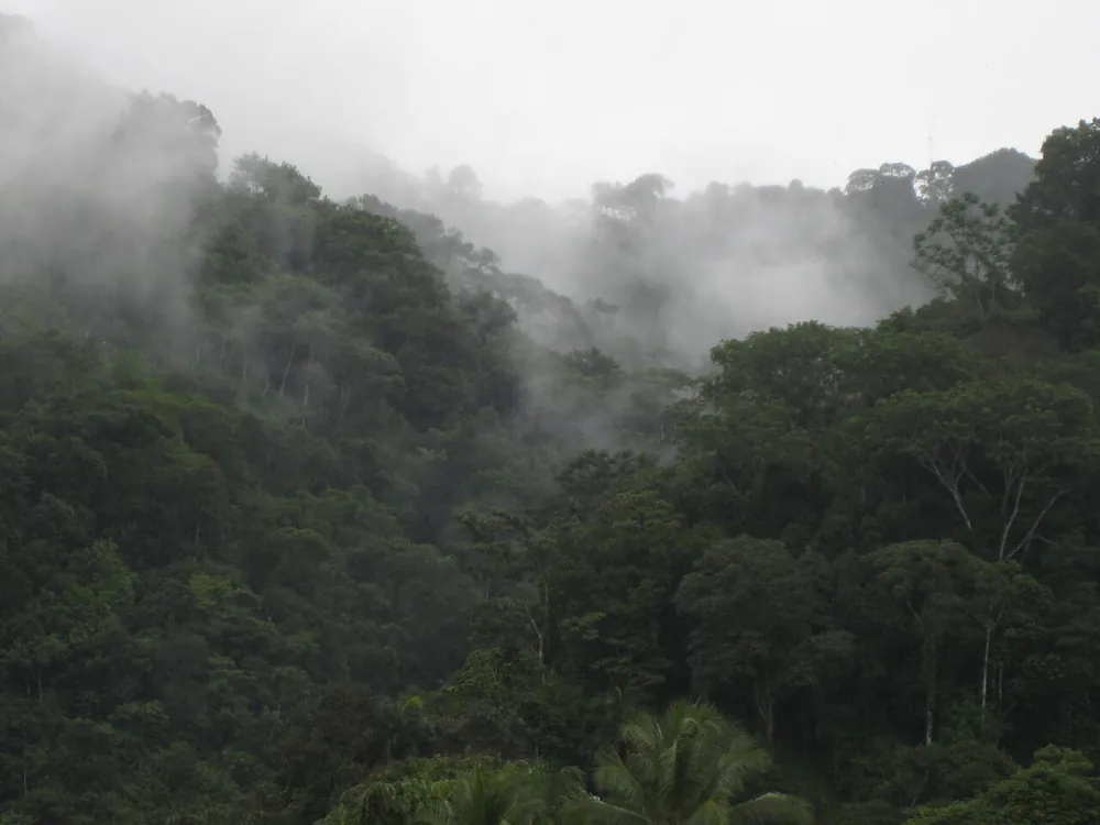 Piedras Blancas National Park (La Gamba entrance), parque en Península de Osa