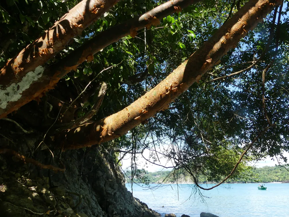 Playa Biesanz, para nadar en Pacífico Central (foto 1 de 5)