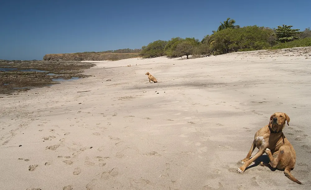 Playa Blanca (Junquillal), beach in Guanacaste