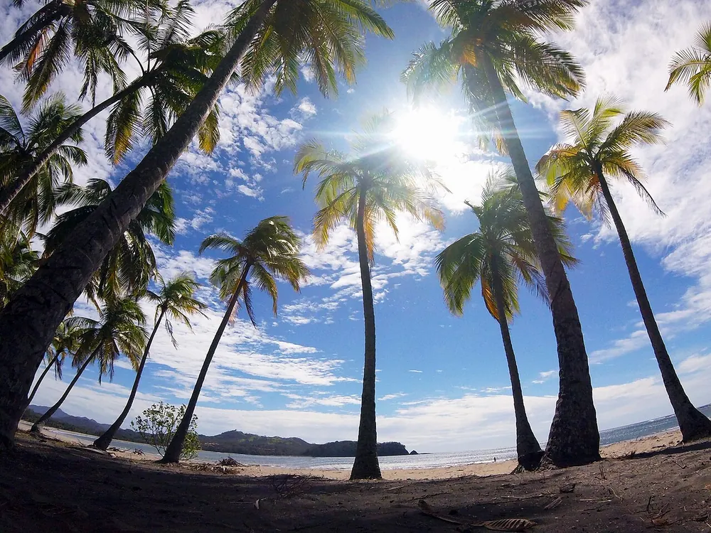Playa Carrillo, beach in Nicoya Peninsula (photo 2 of 5)
