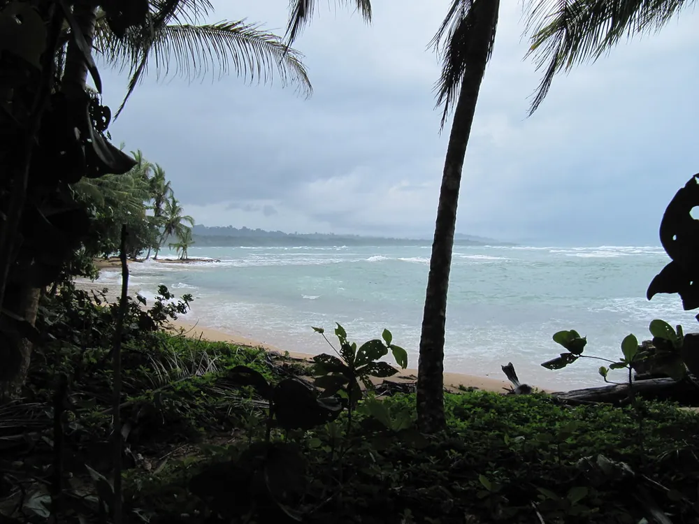 Playa Cocles, playa en Caribe (foto 5 de 5)