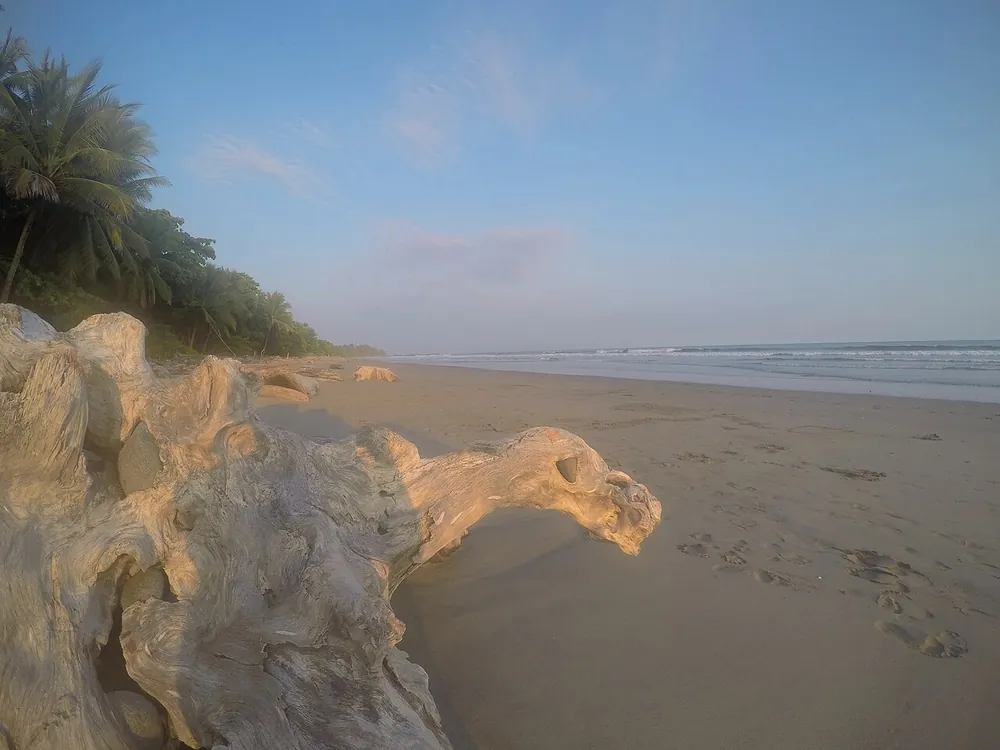 Playa Grande (Montezuma), playa en Península de Nicoya (foto 3 de 5)