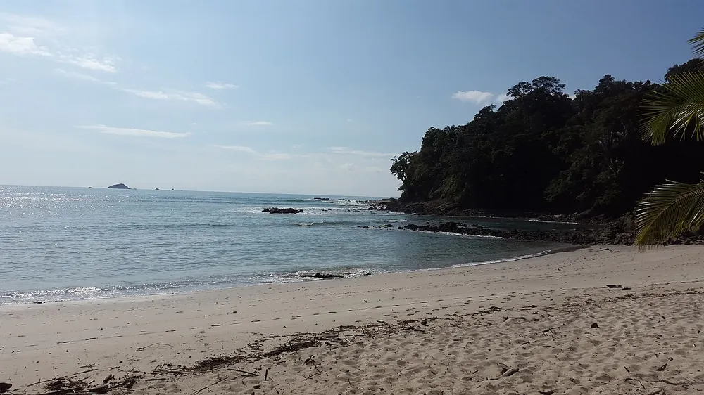 Playa Manuel Antonio (inside the national park), swimming spot in Central Pacific (photo 3 of 5)