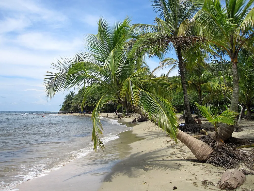 Playa Manzanillo, beach in Caribbean Coast (photo 3 of 6)