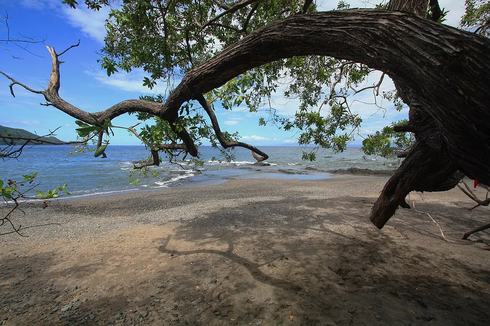 Playa Matapalo (Guanacaste), beach in Guanacaste (photo 5 of 6)