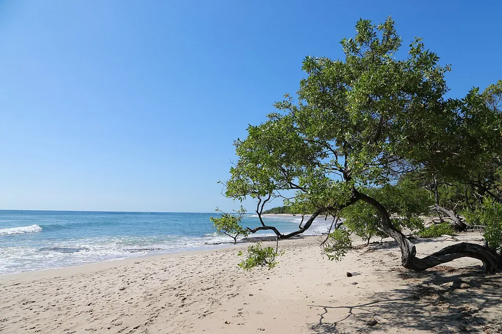 Playa Negra (Los Pargos), beach in Guanacaste (photo 1 of 2)