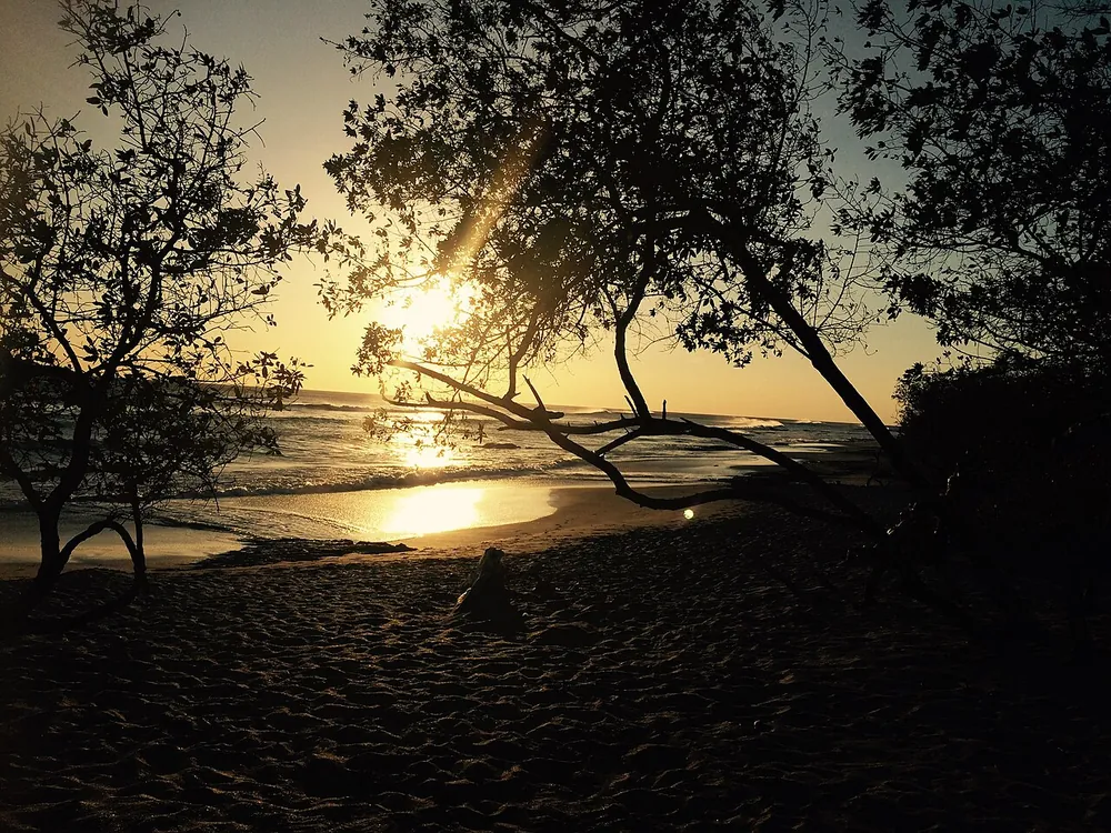 Playa Negra (Los Pargos), beach in Guanacaste (photo 2 of 2)
