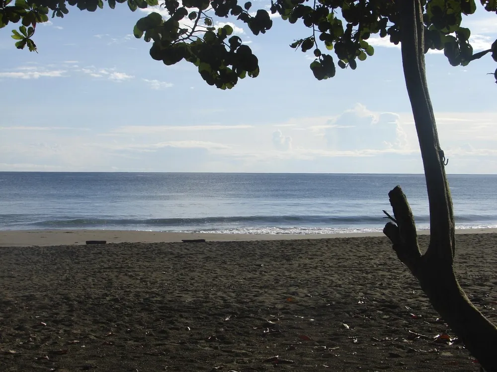 Playa Negra (Puerto Viejo), playa en Caribe (foto 2 de 4)