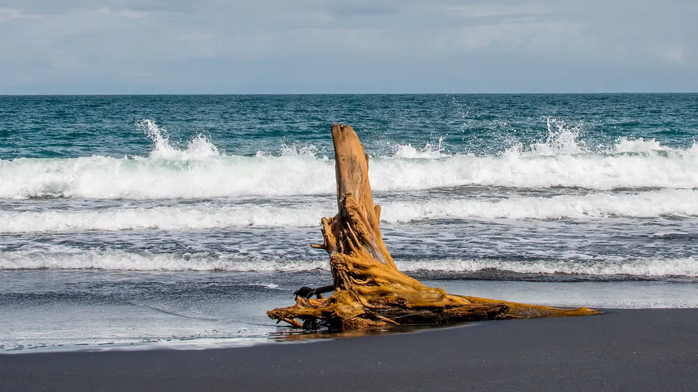 Playa Negra (Puerto Viejo), playa en Caribe (foto 4 de 4)