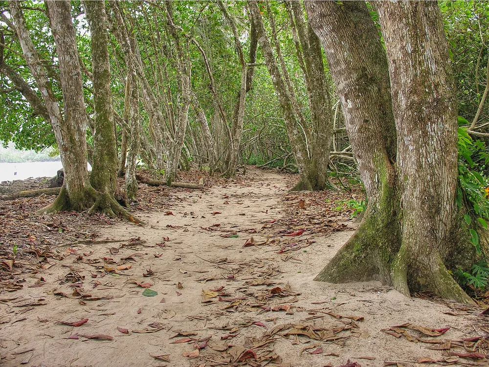 Playa Puerto Vargas (Cahuita National Park south entrance), playa en Caribe (foto 2 de 3)