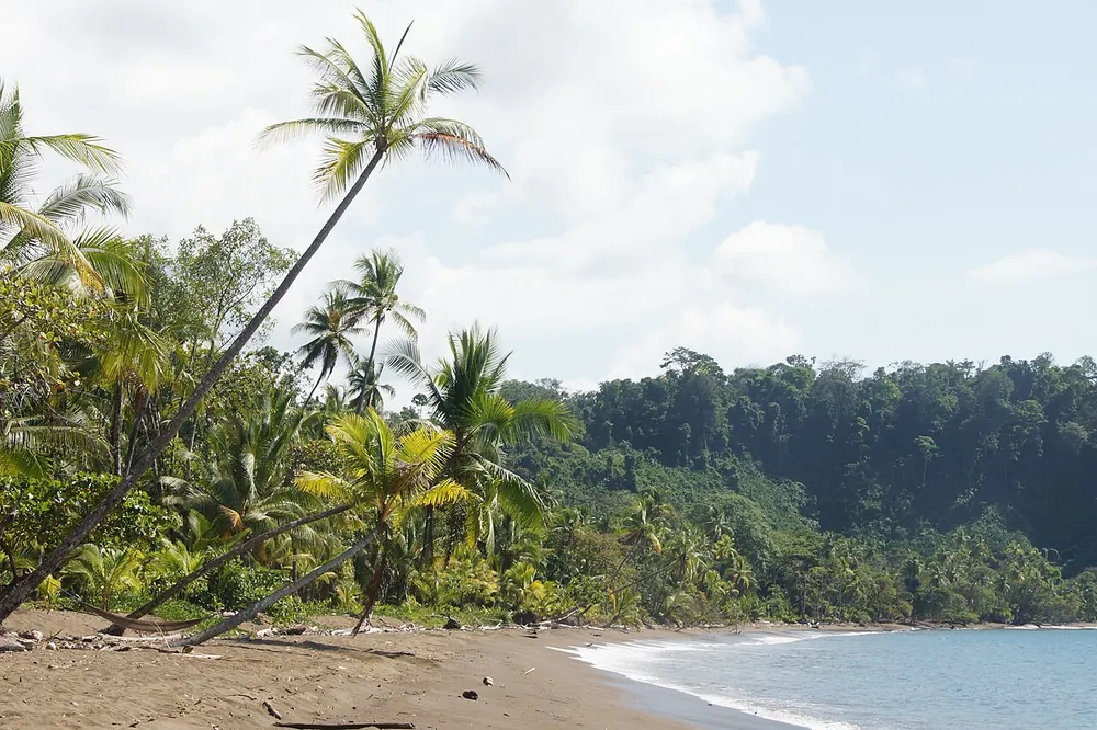 Playa Rincón (Rincón de San Josecito, Drake coast), beach in Osa Peninsula (photo 1 of 2)