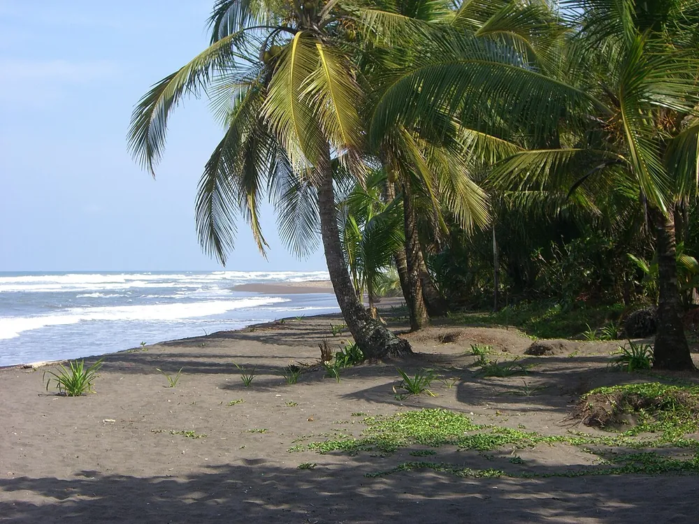Tortuguero Beach, beach in Caribbean Coast (photo 1 of 3)