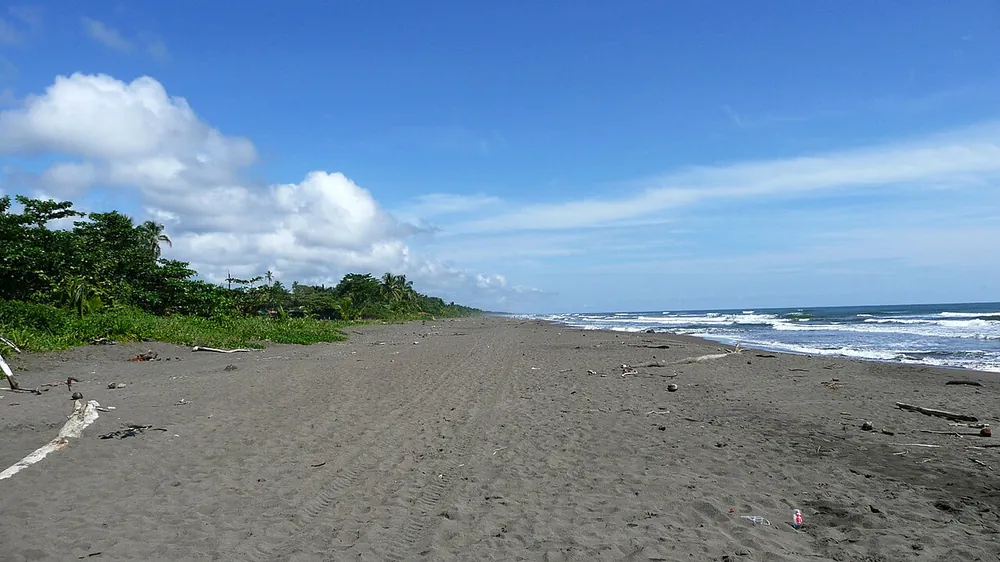 Tortuguero Beach, beach in Caribbean Coast (photo 2 of 3)
