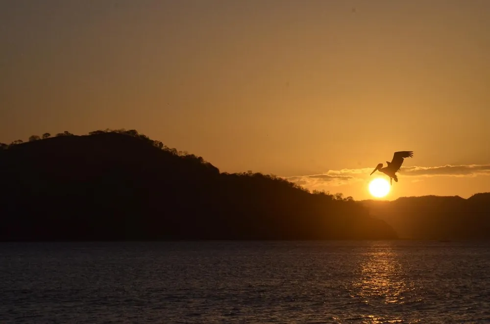 Playas del Coco, beach in Guanacaste (photo 5 of 5)