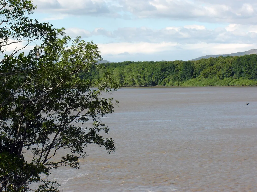 Puente de la Amistad (Tempisque Friendship Bridge), bridge in Guanacaste (photo 4 of 4)