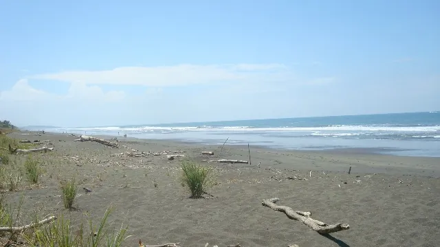 Punta Mala (Playa Hermosa–Punta Mala Wildlife Refuge), naturaleza en Jacó y Herradura (foto 3 de 3)