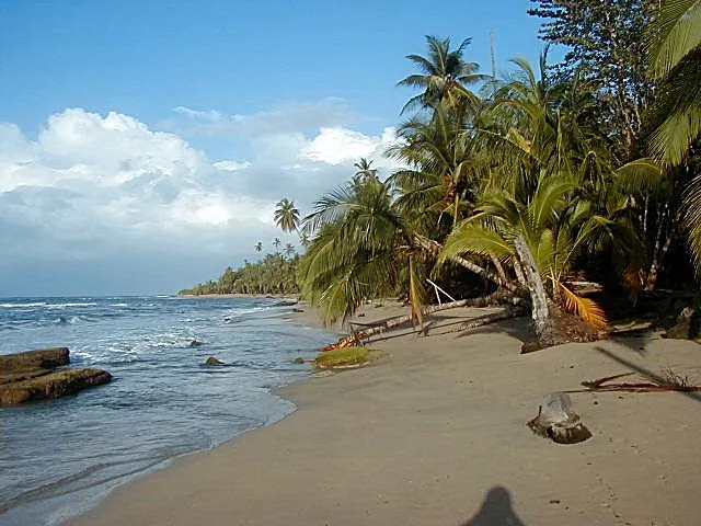 Punta Uva Beach, beach in Caribbean Coast (photo 2 of 2)