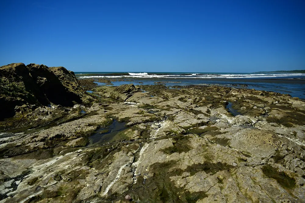 Reserva Biológica Nosara (river mouth and tide flats), nature spot in Nicoya Peninsula (photo 2 of 6)