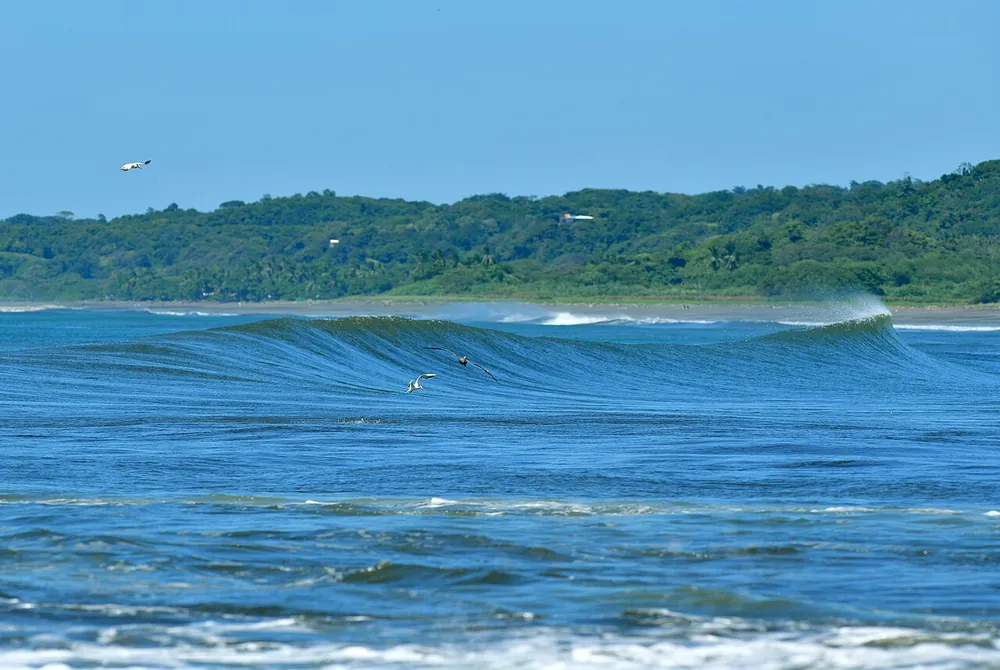 Reserva Biológica Nosara (river mouth and tide flats), nature spot in Nicoya Peninsula (photo 4 of 6)