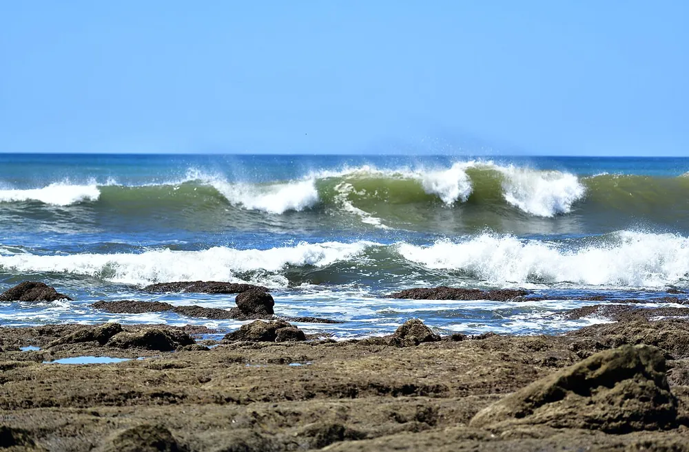 Reserva Biológica Nosara (river mouth and tide flats), nature spot in Nicoya Peninsula (photo 6 of 6)