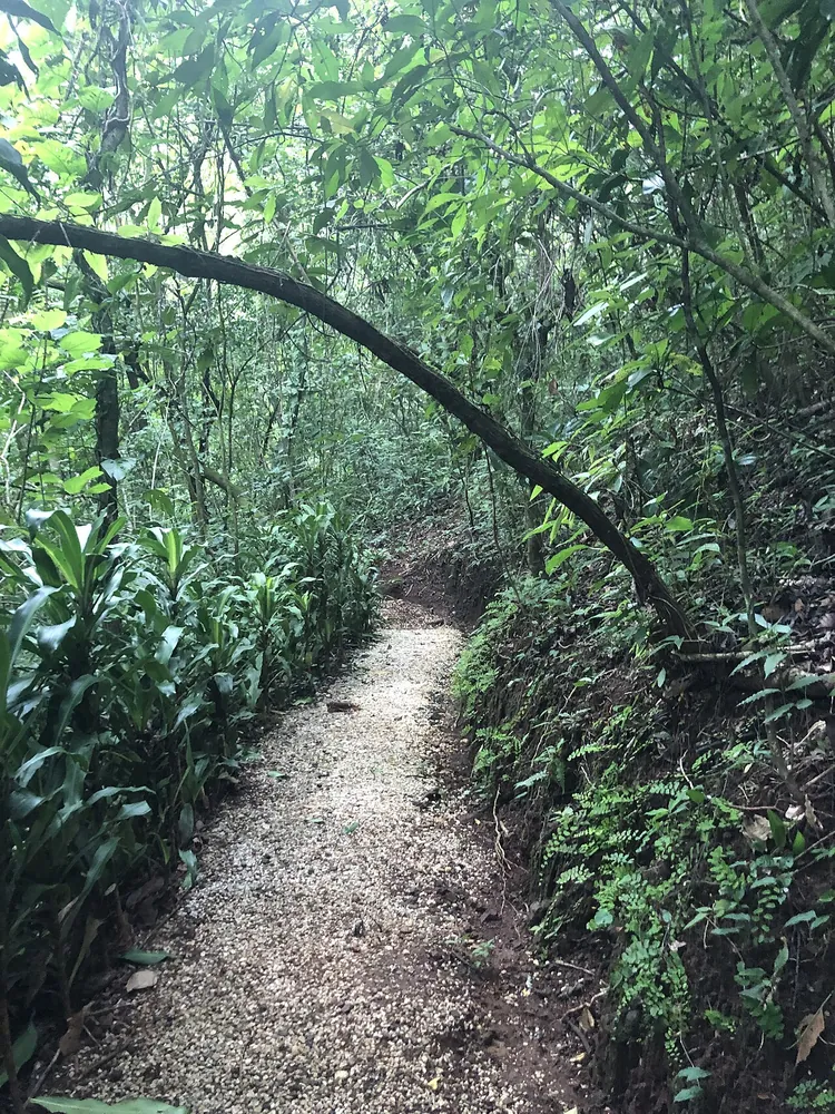Reserva Natural Monte Alto (Hojancha), trail in Nicoya Peninsula (photo 1 of 4)