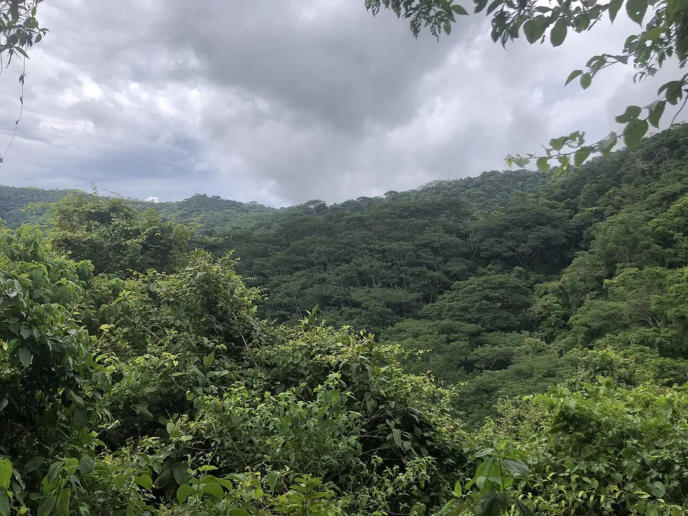 Reserva Natural Monte Alto (Hojancha), trail in Nicoya Peninsula (photo 2 of 4)