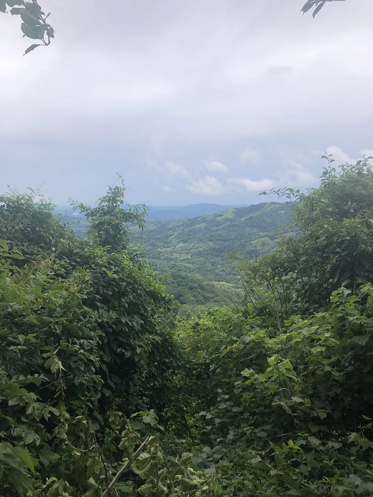 Reserva Natural Monte Alto (Hojancha), trail in Nicoya Peninsula (photo 3 of 4)