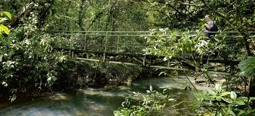 Rio Celeste Suspension Bridge (Tenorio Volcano NP trail), bridge in Arenal & La Fortuna (photo 1 of 2)