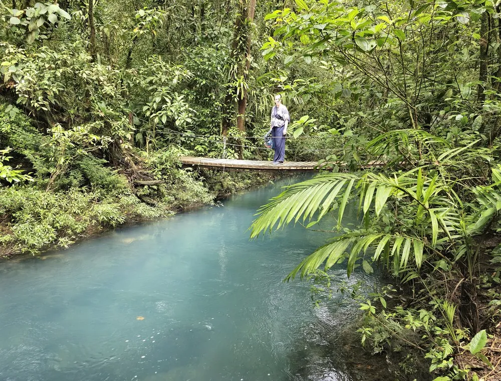 Rio Celeste Suspension Bridge (Tenorio Volcano NP trail), bridge in Arenal & La Fortuna (photo 2 of 2)