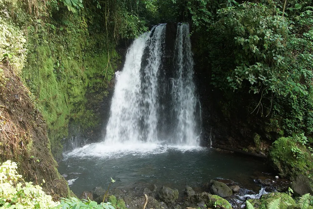 Río Celeste Waterfall, catarata en Arenal y La Fortuna (foto 4 de 5)