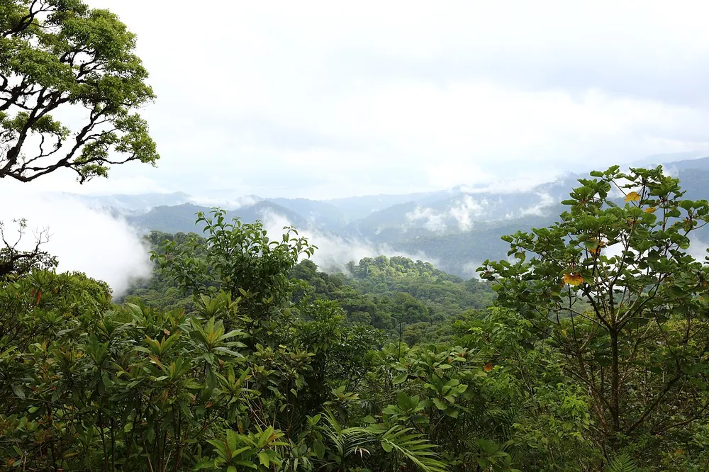 San Gerardo Station (Children's Eternal Rainforest), parque en Monteverde (foto 2 de 4)
