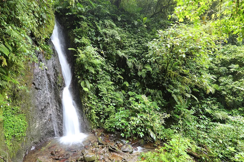 San Gerardo Waterfall, waterfall in Monteverde (photo 2 of 2)