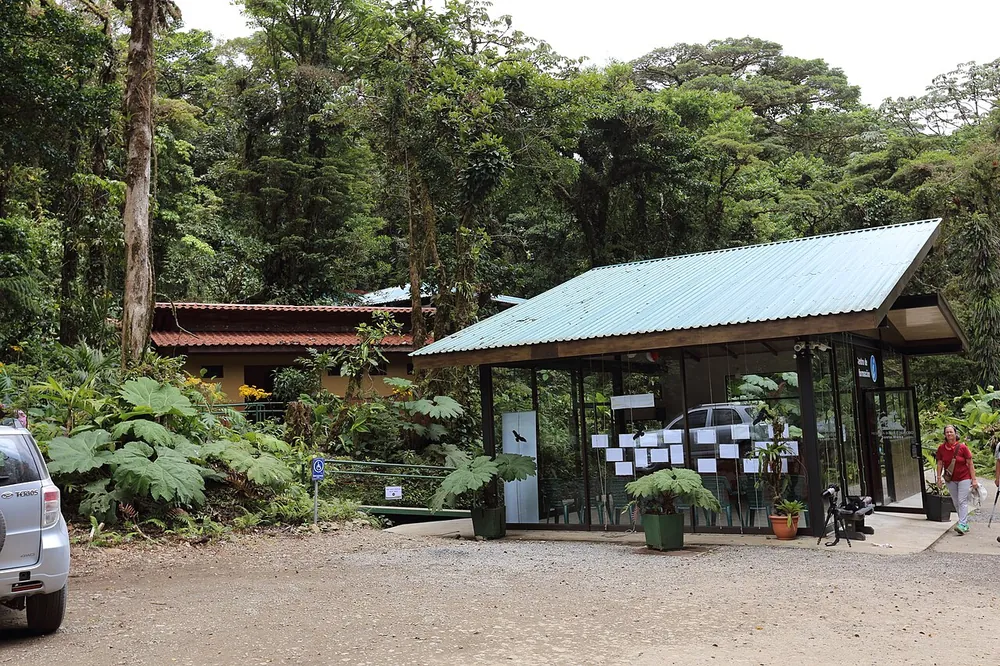 Santa Elena Cloud Forest Reserve, trail in Monteverde (photo 3 of 3)