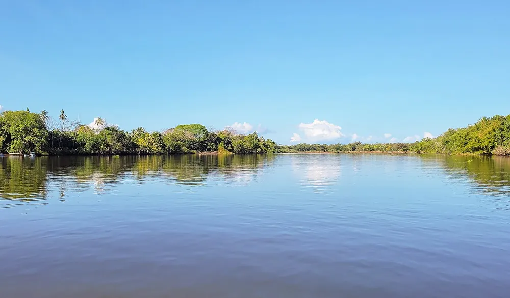 Sierpe Riverfront, landmark in Osa Peninsula (photo 2 of 4)