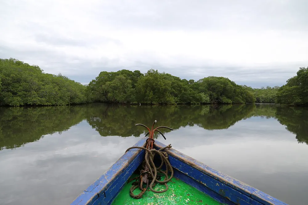 Tamarindo Estuary (crocodile spotting), nature spot in Guanacaste (photo 1 of 2)