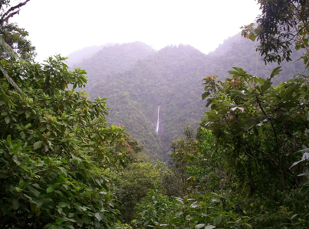 Parque Nacional Tapantí, parque en San José y Valle Central (foto 1 de 5)