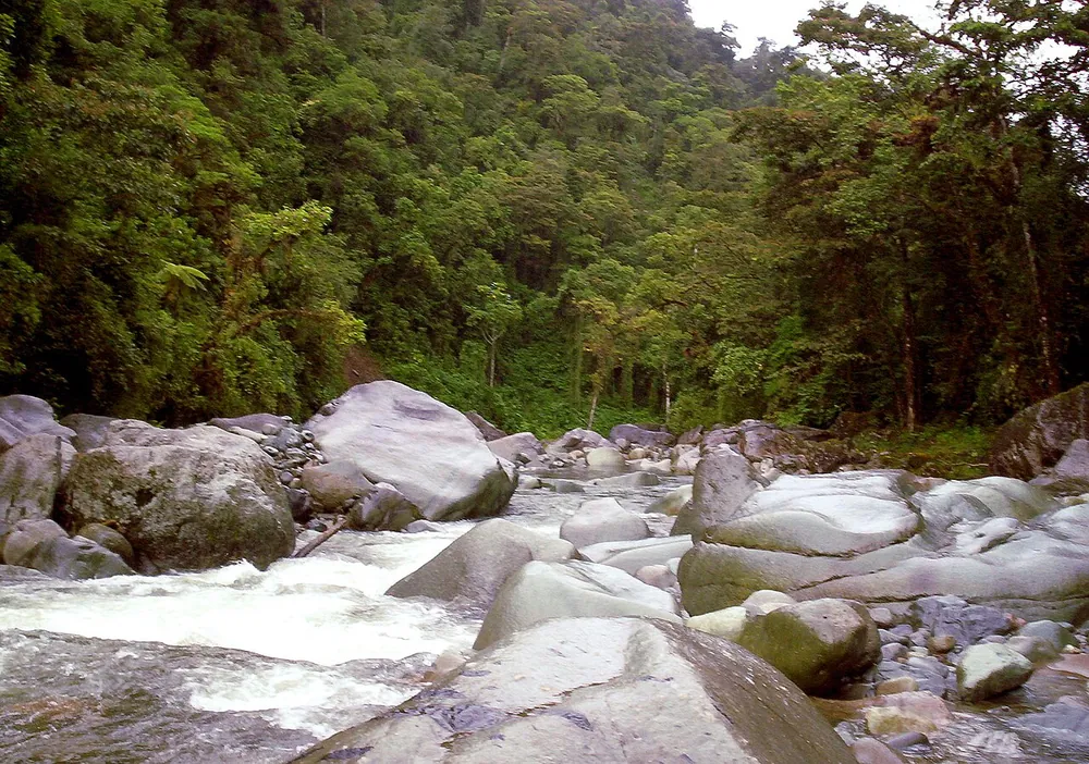 Parque Nacional Tapantí, parque en San José y Valle Central (foto 2 de 5)