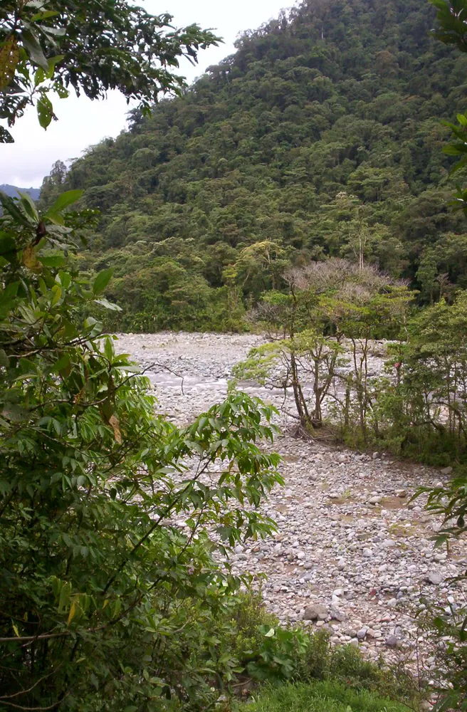 Parque Nacional Tapantí, parque en San José y Valle Central (foto 3 de 5)
