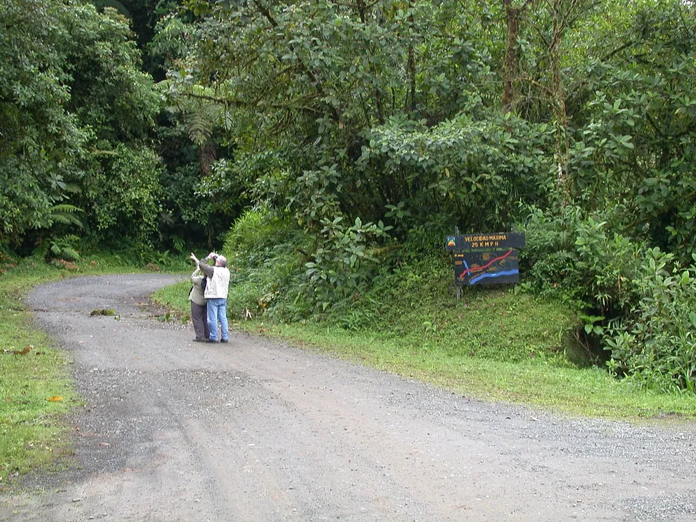 Parque Nacional Tapantí, parque en San José y Valle Central (foto 4 de 5)