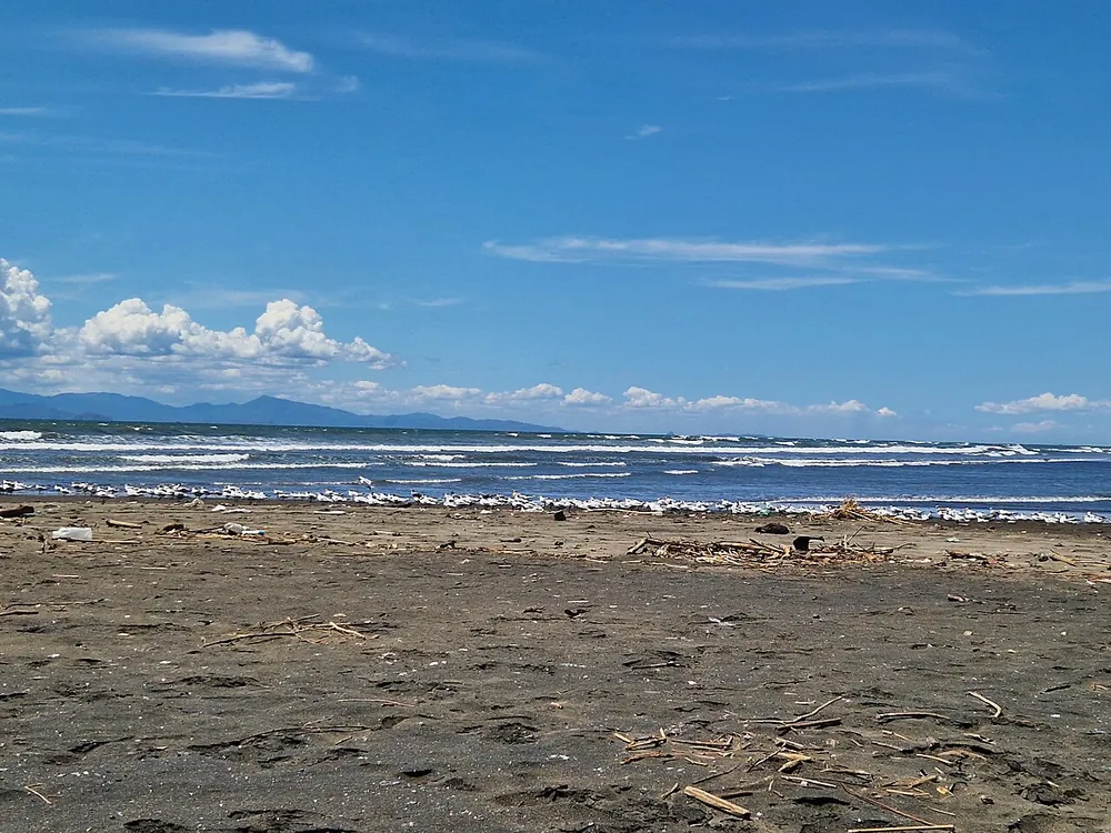 Playa Azul & Tárcoles River Mouth, nature spot in Jacó & Herradura (photo 1 of 3)
