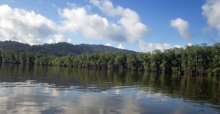 Térraba-Sierpe Mangroves (Boca Sierpe), nature spot in Osa Peninsula (photo 2 of 3)