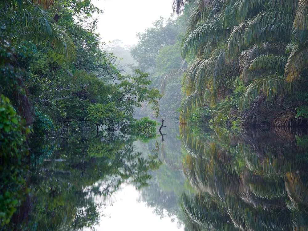 Tortuguero Canals, naturaleza en Caribe (foto 2 de 5)