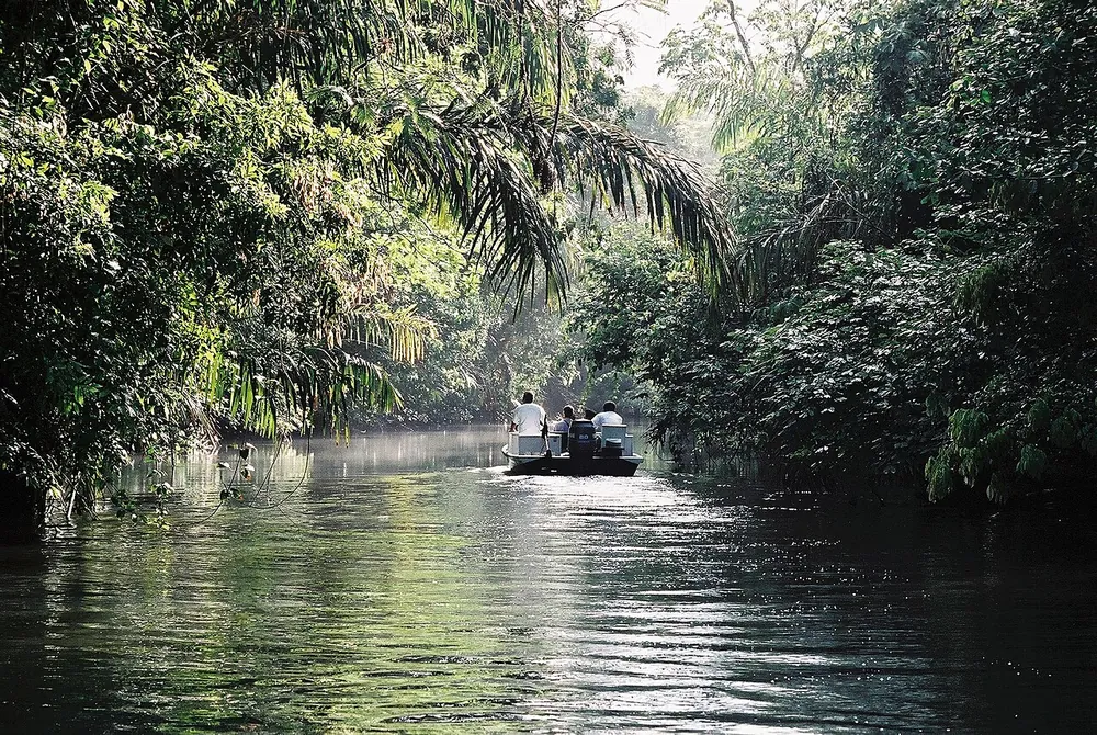 Tortuguero Canals, naturaleza en Caribe (foto 3 de 5)