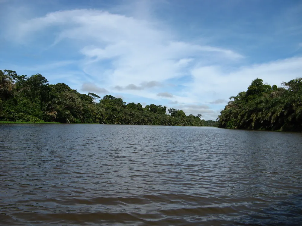 Tortuguero Canals, naturaleza en Caribe (foto 4 de 5)