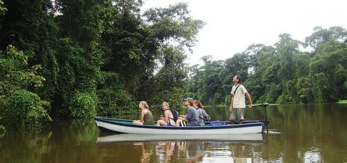 Tortuguero Canals, naturaleza en Caribe (foto 5 de 5)