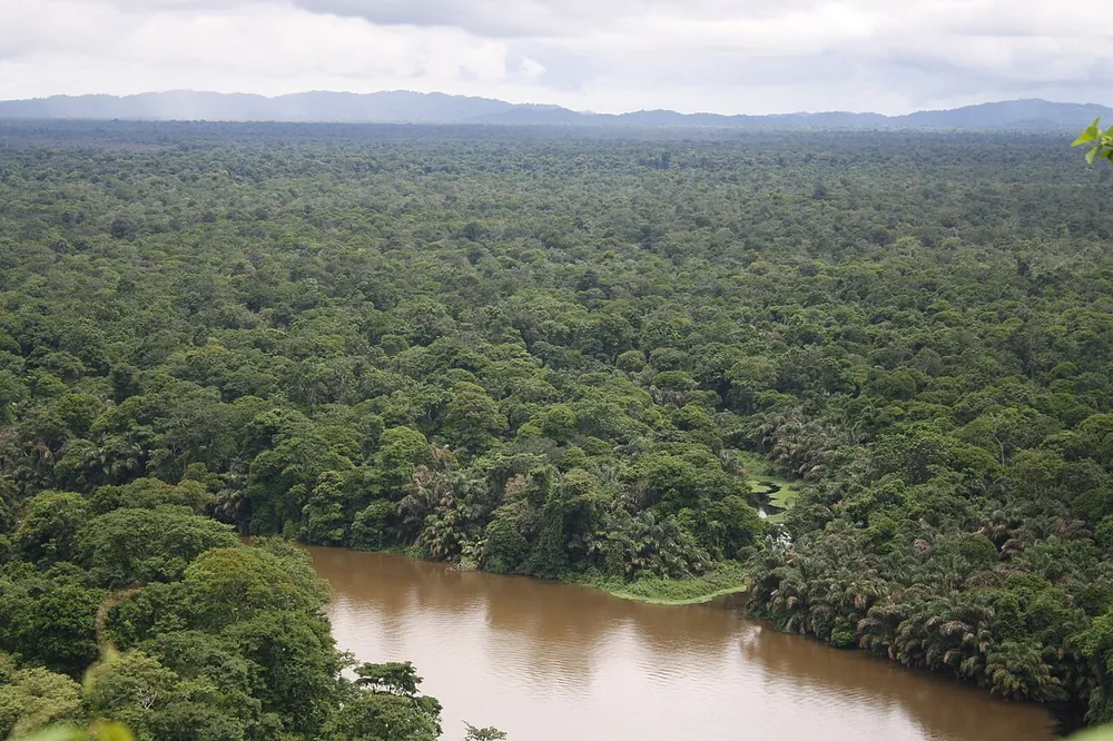 Tortuguero National Park (Cuatro Esquinas entrance), parque en Caribe (foto 1 de 4)