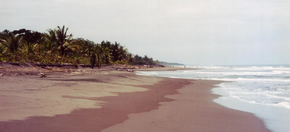 Tortuguero National Park (Cuatro Esquinas entrance), parque en Caribe (foto 3 de 4)